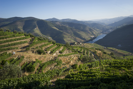 Quinta da Corte