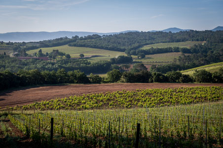 Tenuta Casenuove