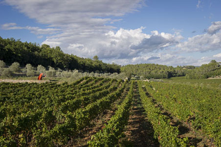 Domaine de Peyrassol